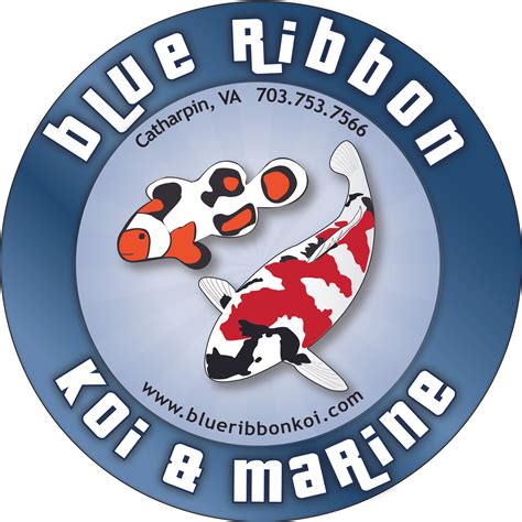 blue ribbon koi & marine|koi fish store near me.